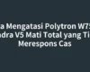 Cara Mengatasi Polytron W7550 Quadra V5 Mati Total yang Tidak Merespons Cas