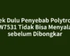 Cek Dulu Penyebab Polytron W7531 Tidak Bisa Menyala sebelum Dibongkar
