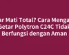 Getar Mati Total? Cara Mengatasi Getar Polytron C24C Tidak Berfungsi dengan Aman
