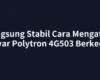 Langsung Stabil Cara Mengatasi Layar Polytron 4G503 Berkedip