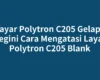 Layar Polytron C205 Gelap? Begini Cara Mengatasi Layar Polytron C205 Blank