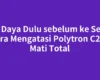Cek Daya Dulu sebelum ke Servis Cara Mengatasi Polytron C287 Mati Total