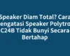 Speaker Diam Total? Cara Mengatasi Speaker Polytron C24B Tidak Bunyi Secara Bertahap